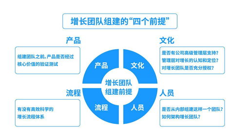 數(shù)據(jù)增長小組 互聯(lián)網(wǎng)企業(yè)的數(shù)據(jù)服務(wù)引擎與增長動力